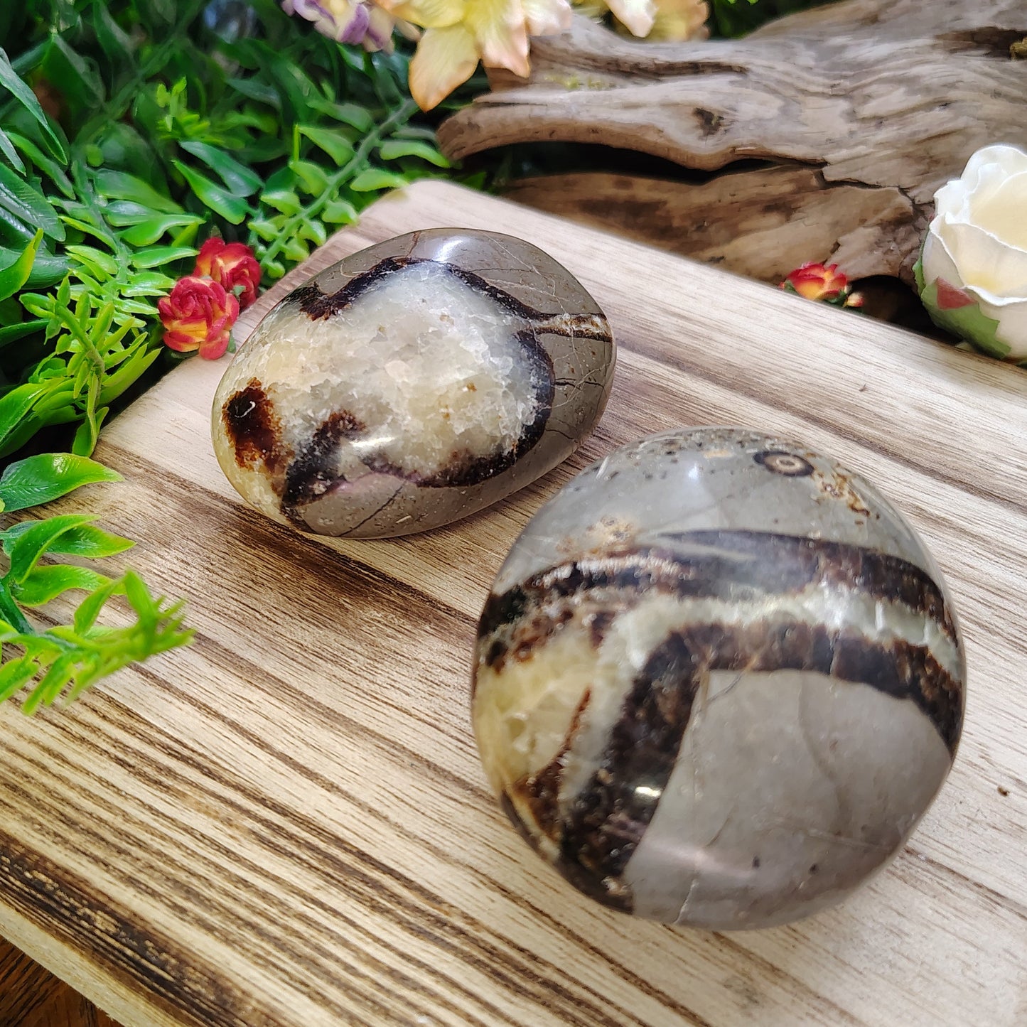 Two polished stones on a wooden surface with plants and flowers in the background