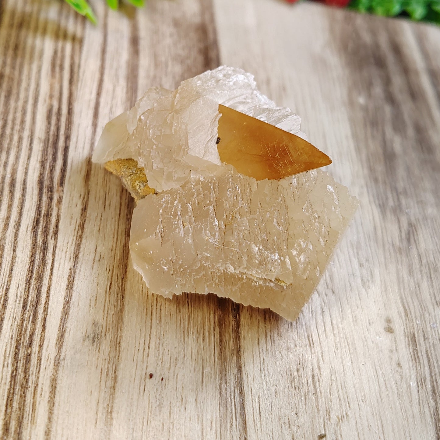 Crystal on a wooden surface with greenery in the background
