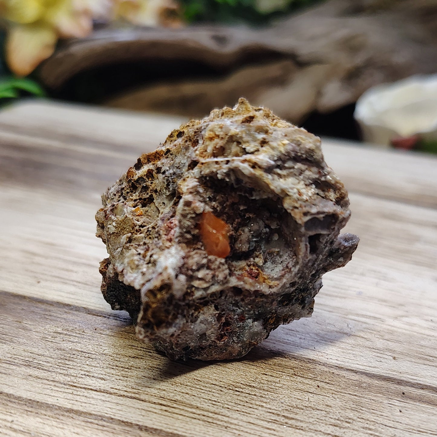 Rock on a wooden surface with blurred greenery in the background