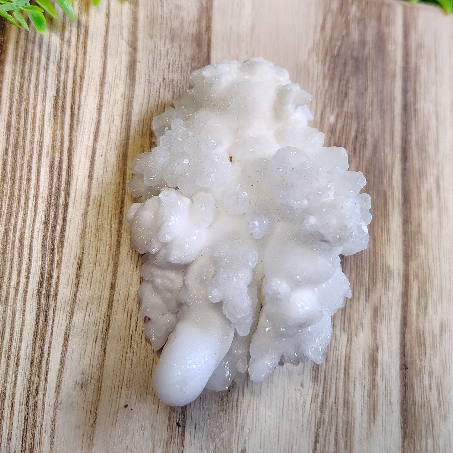 White crystal formation on a wooden surface with greenery and flowers in the background