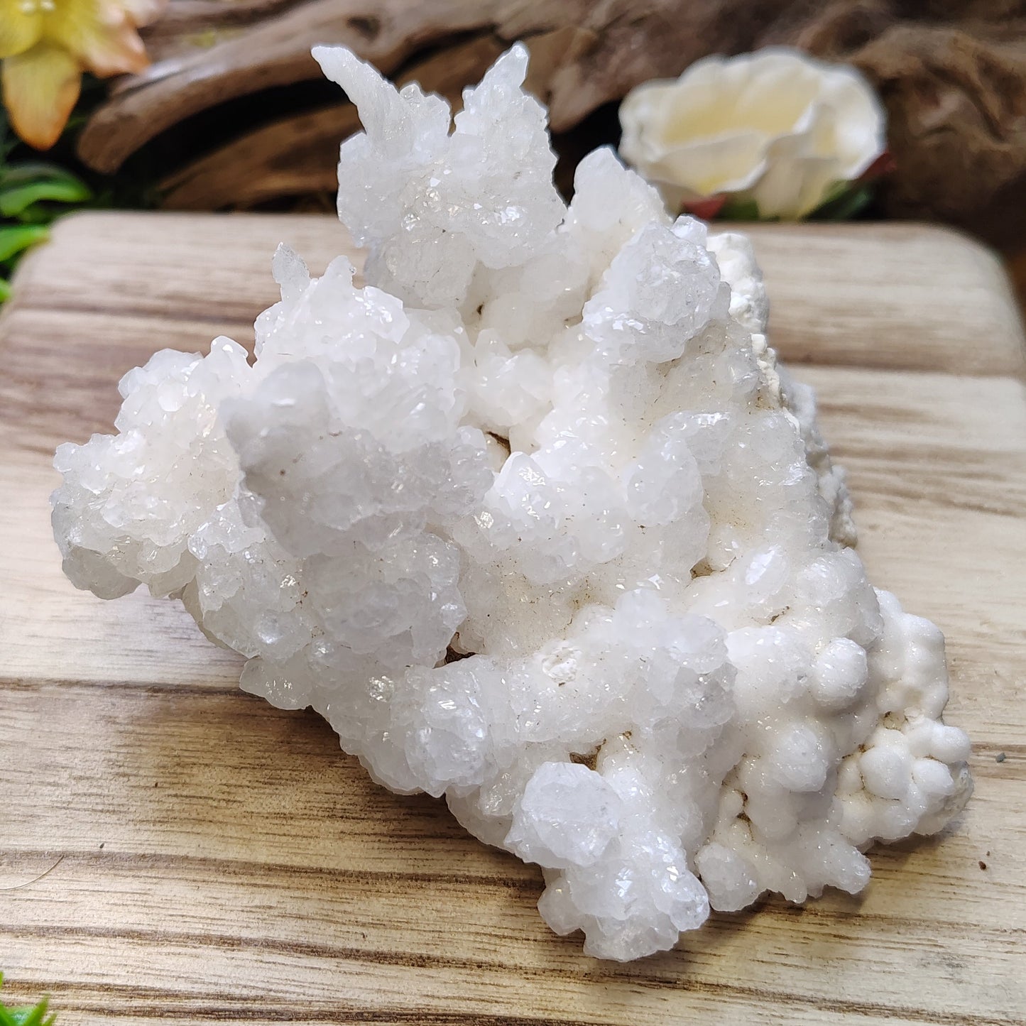 White crystal formation on a wooden surface with greenery and flowers in the background