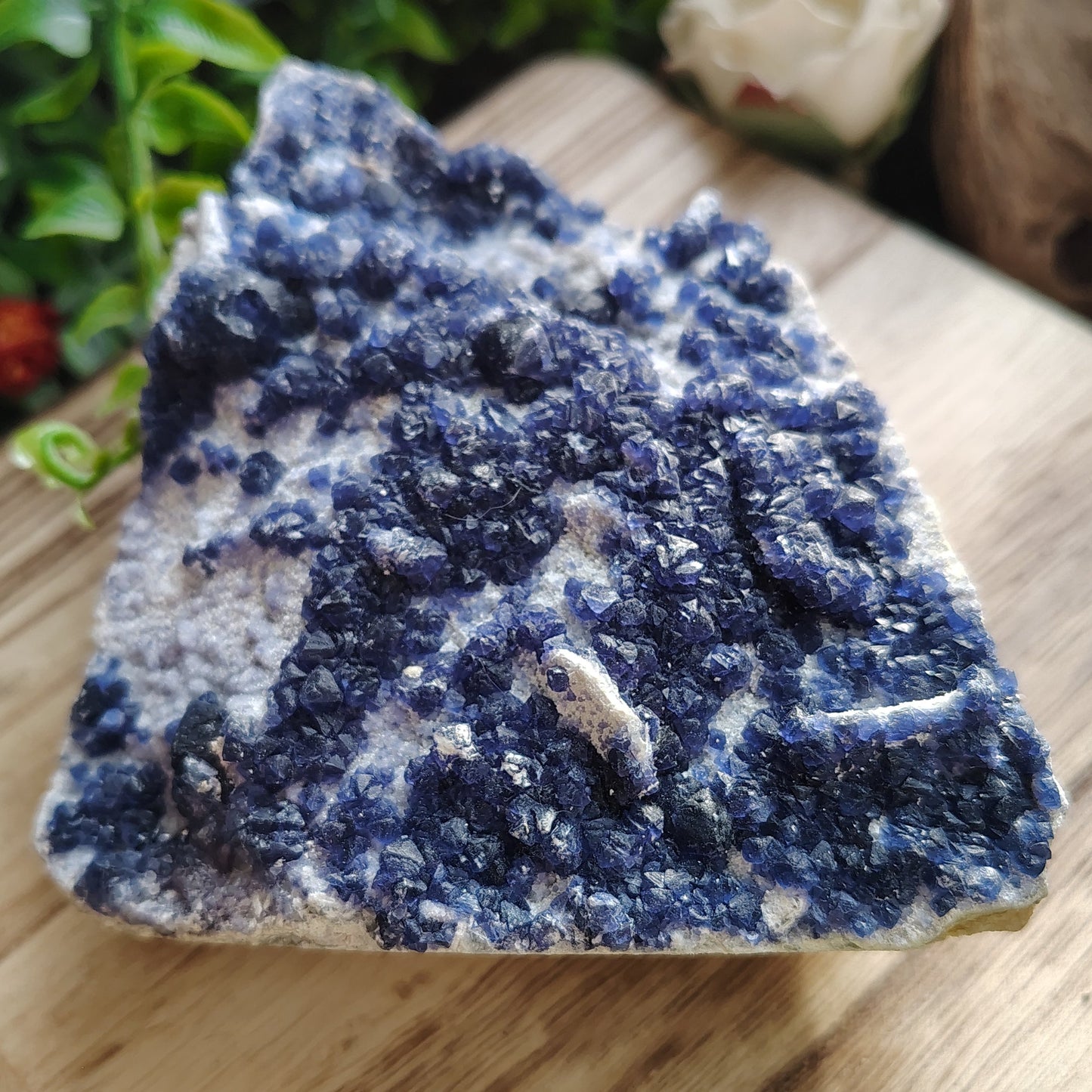 Blue crystal on a wooden surface with greenery around