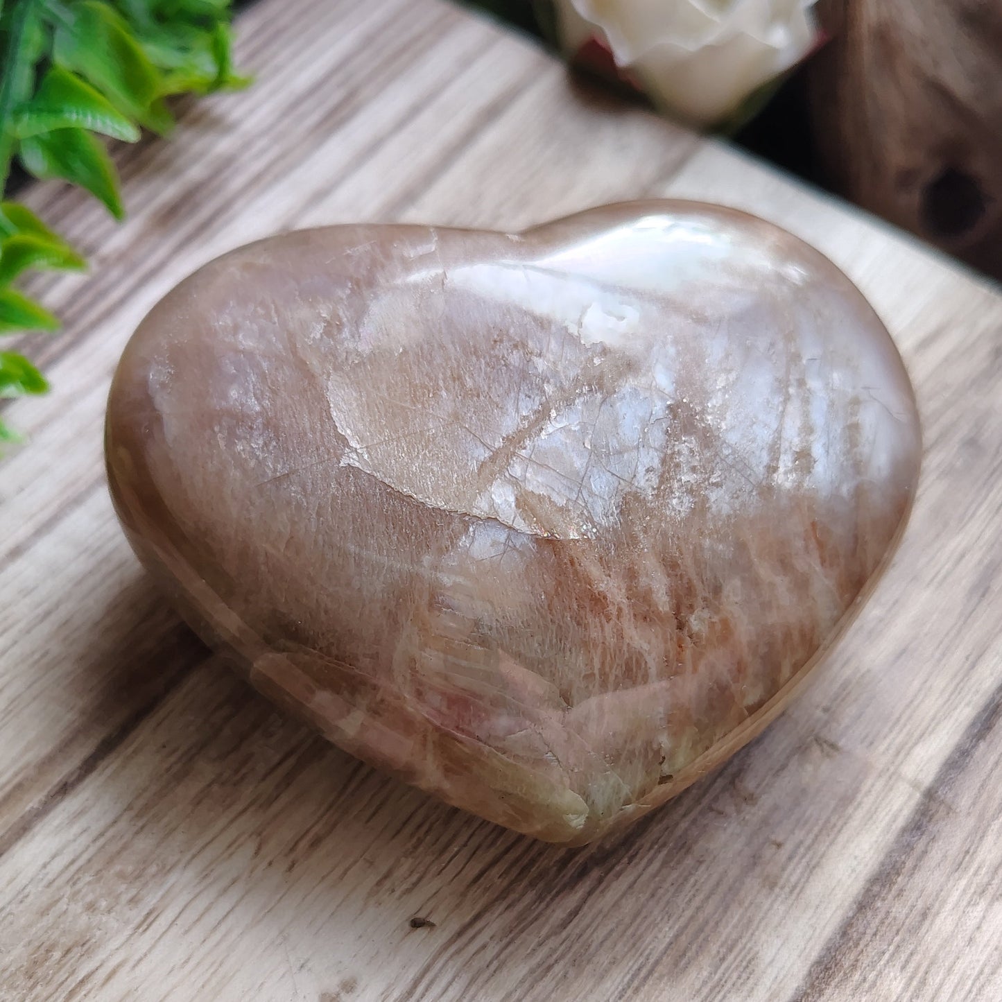 Polished crystal stone on a wooden surface with greenery and flowers in the background