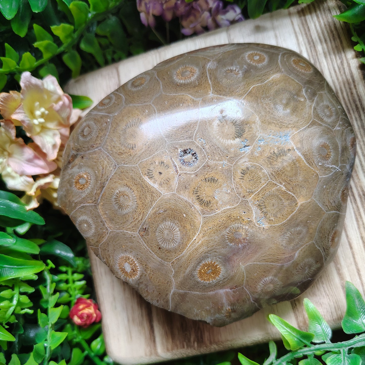 Decorative stone with circular patterns on a wooden stand surrounded by greenery