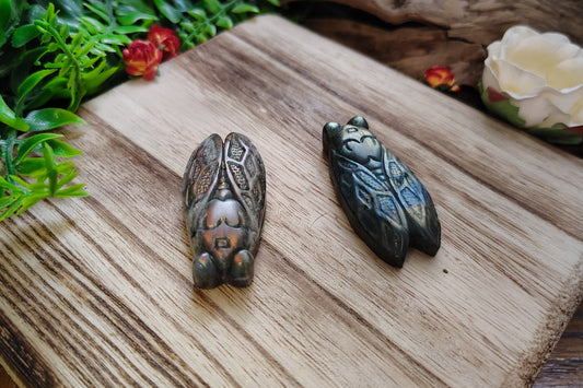 Two decorative labradorites resembling cicadas on a wooden surface with plants in the background