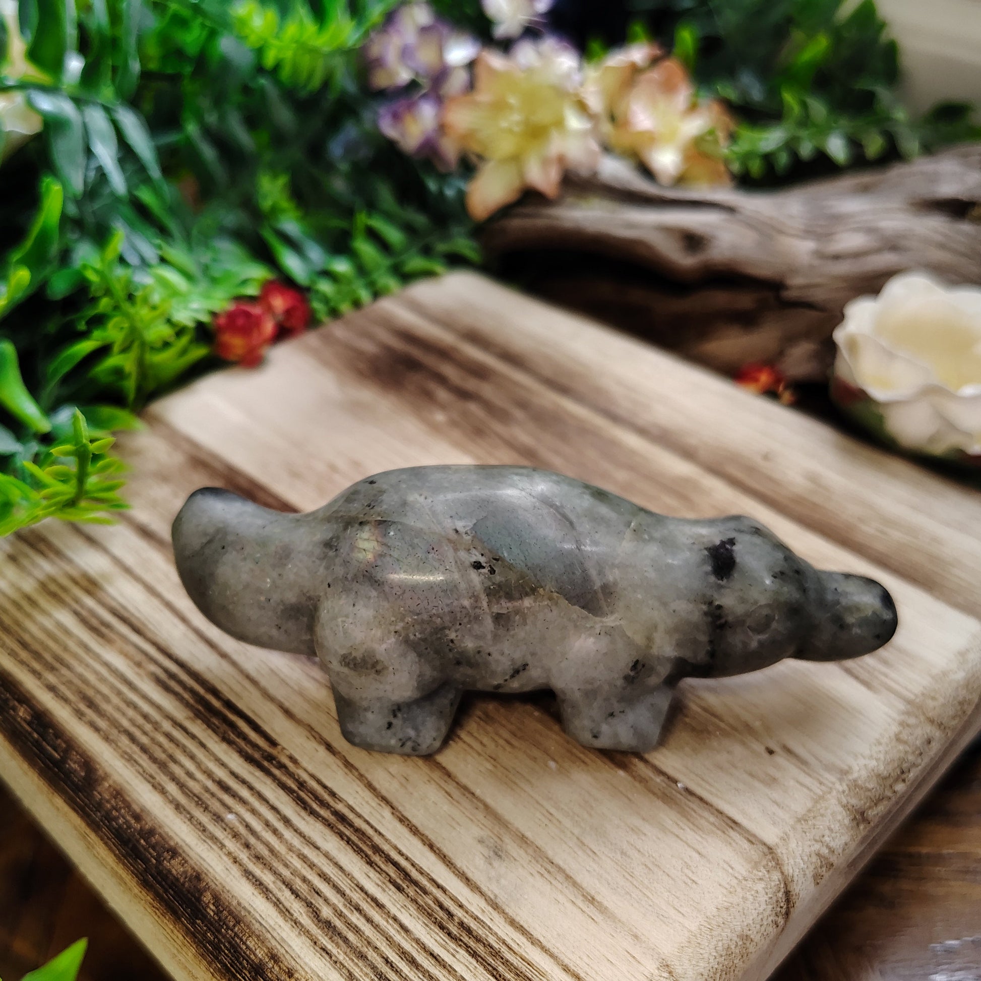 Small platypus figurine on a wooden board with plants and flowers in the background