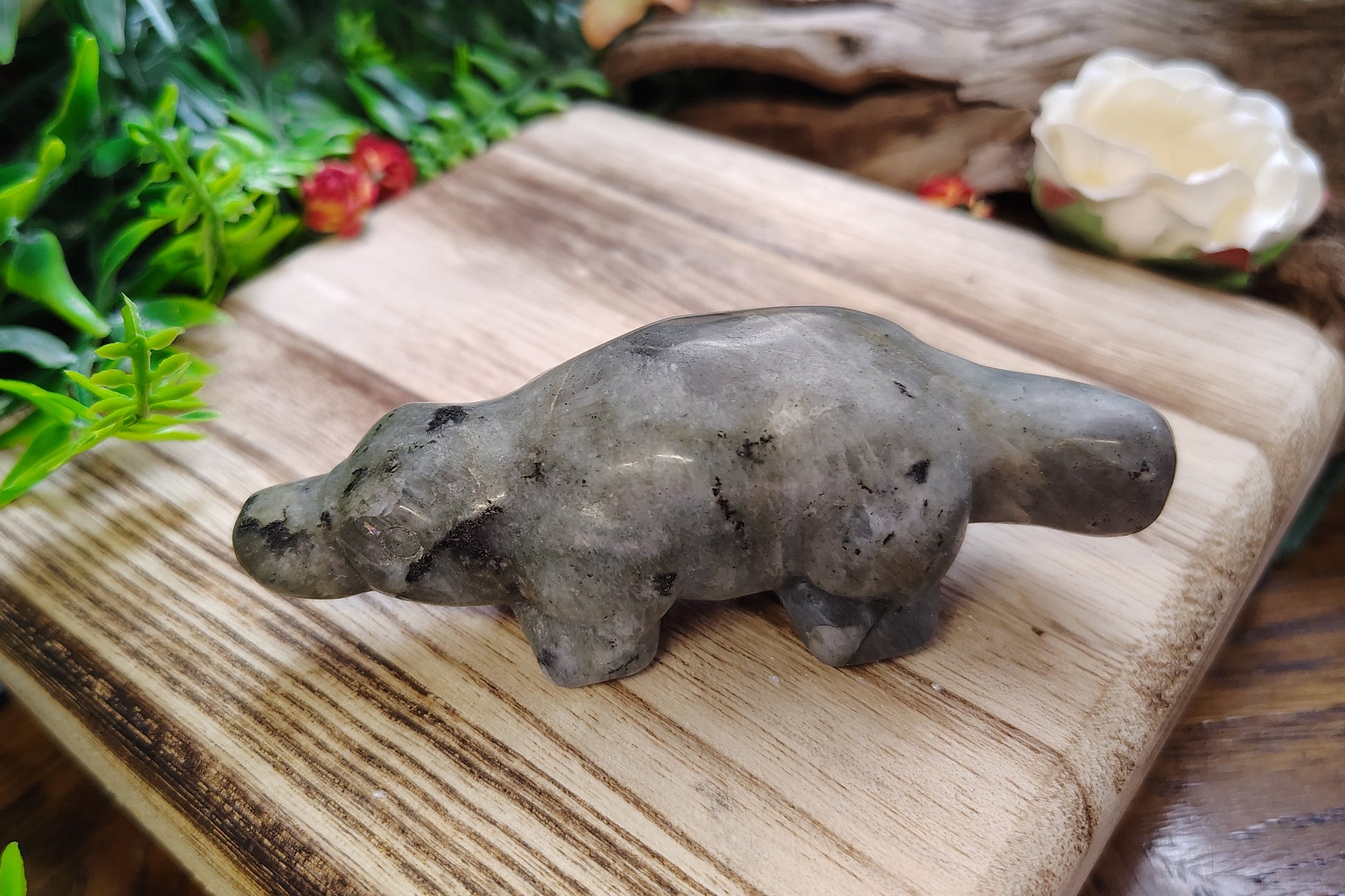 Small platypus figurine on a wooden surface with greenery and flowers in the background