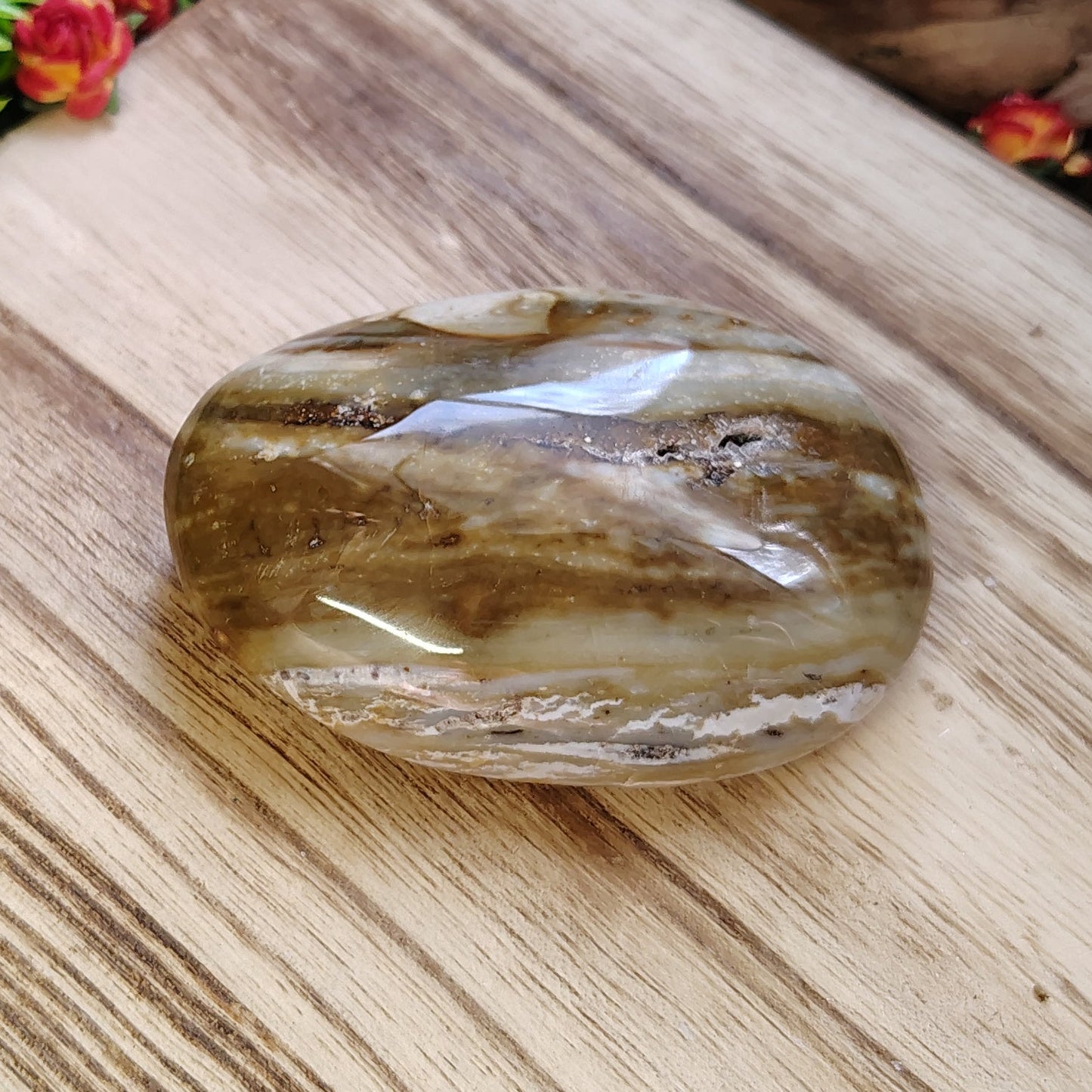 Petrified Wood Palmstone