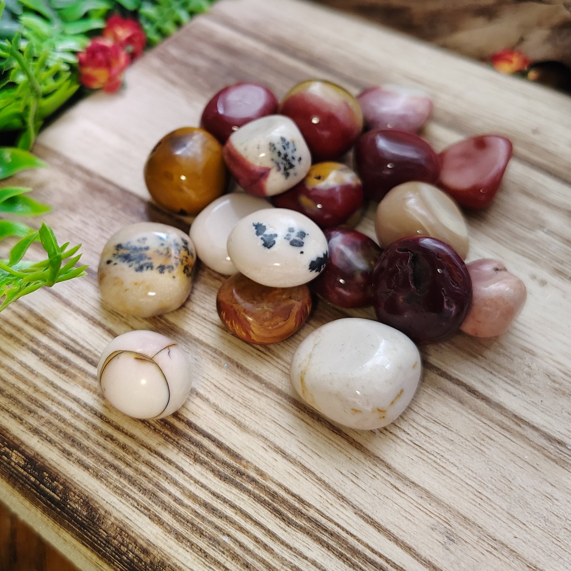 Collection of polished gemstones on a wooden surface with plants in the background