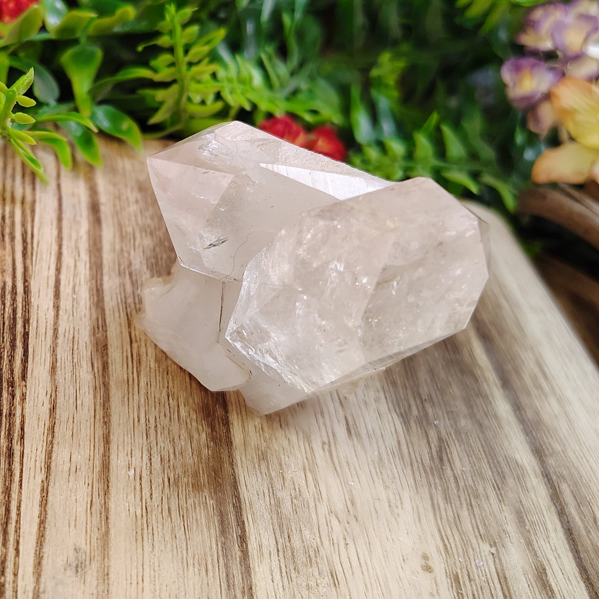 Crystal on a wooden surface with greenery in the background