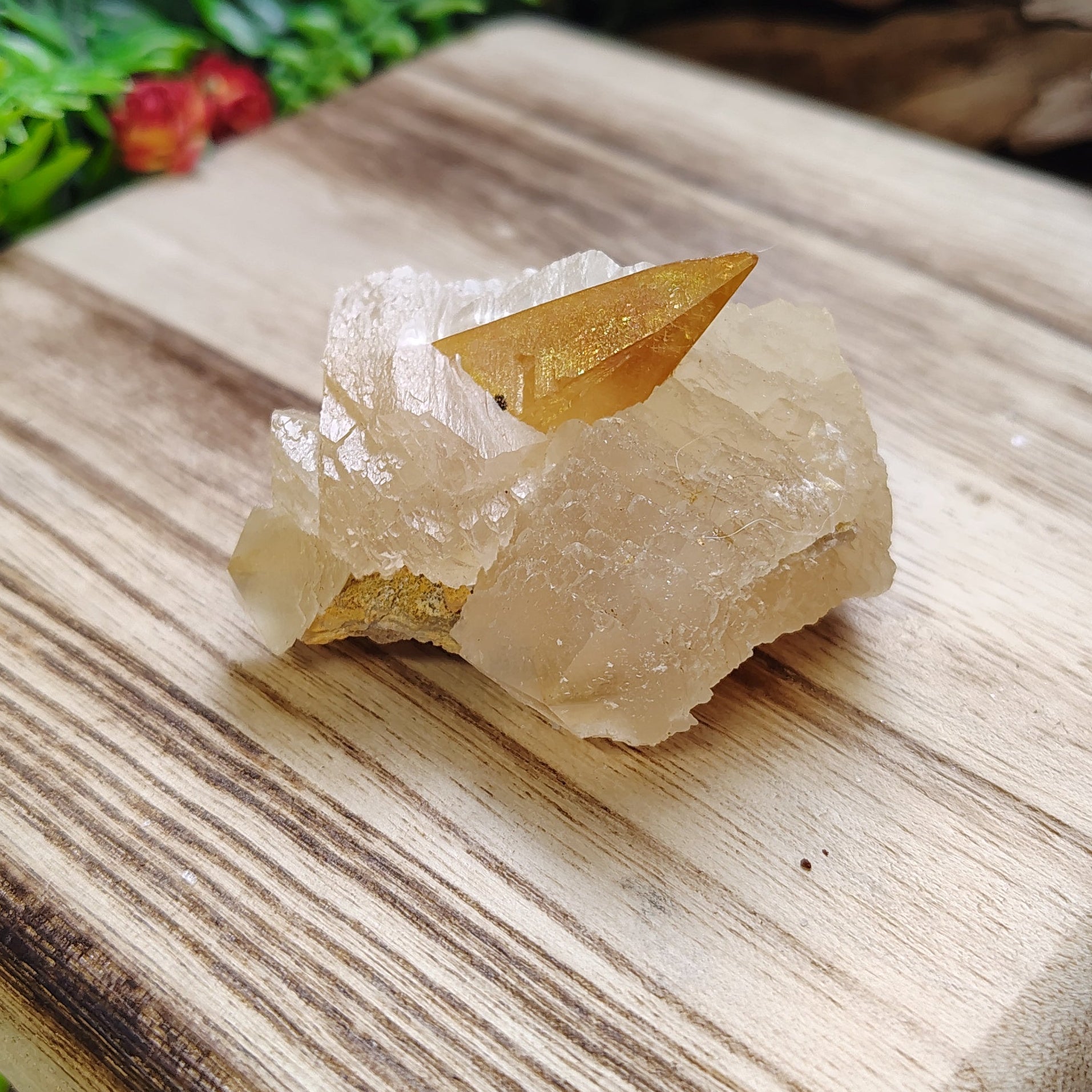 Crystal on a wooden board with plants in the background