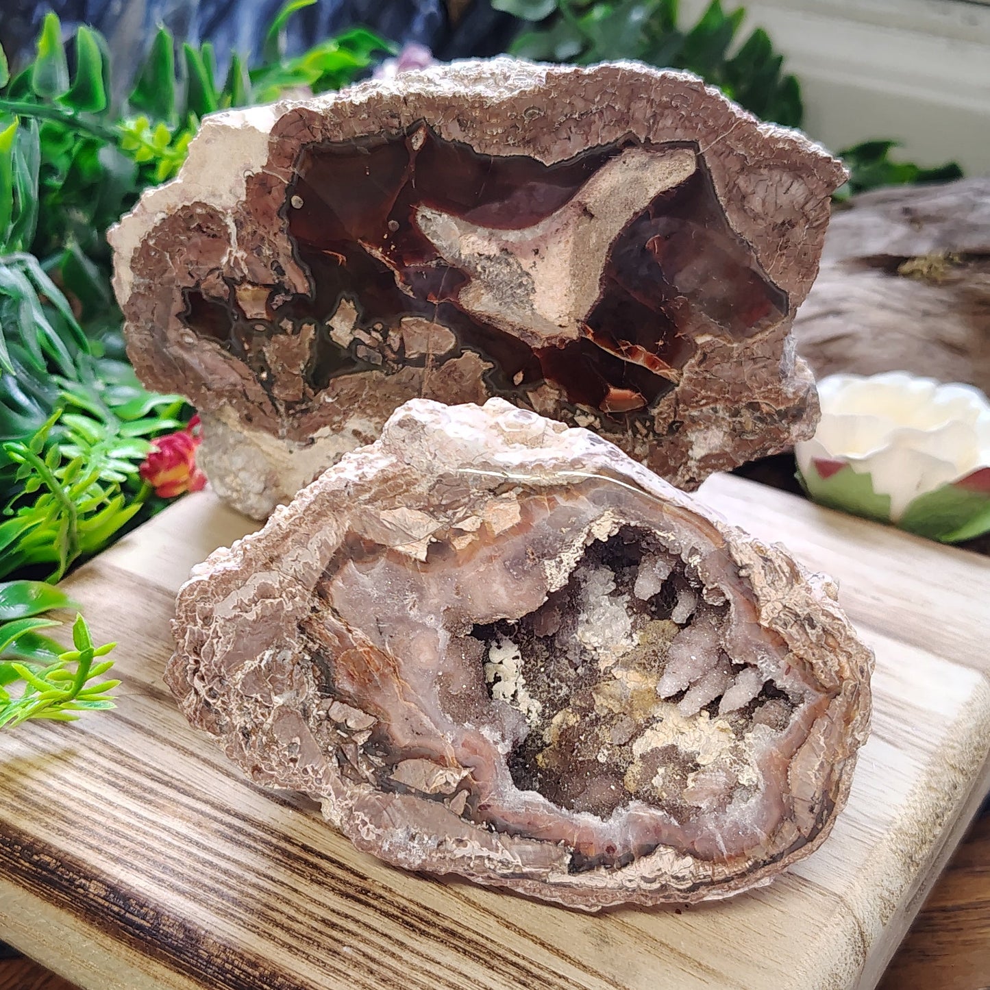 Geode crystals on a wooden stand with greenery and driftwood in the background