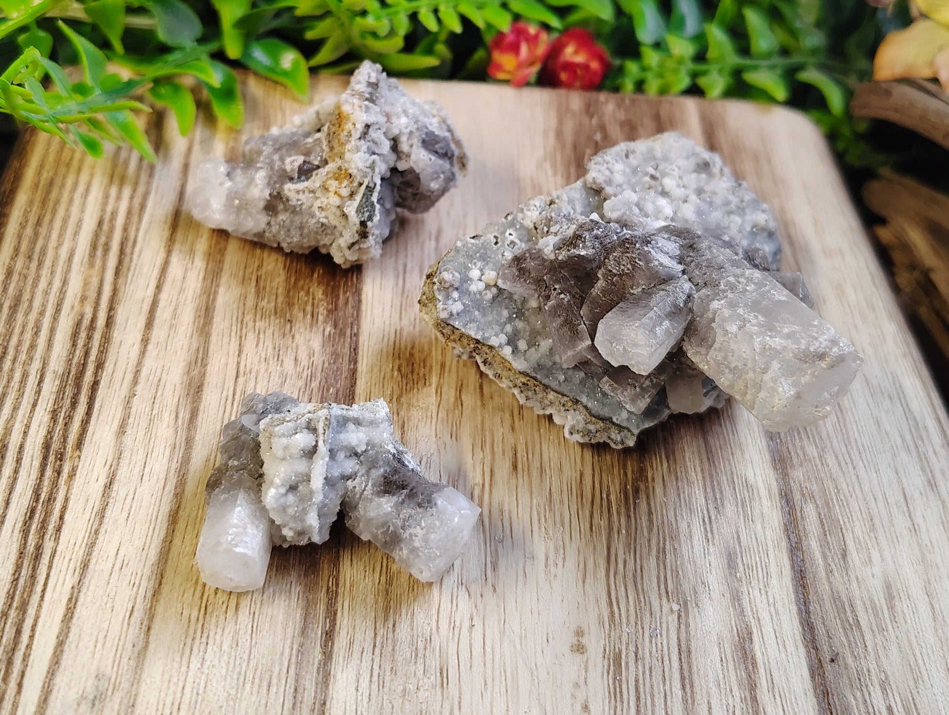 Mineral specimens on a wooden surface with greenery and flowers in the background