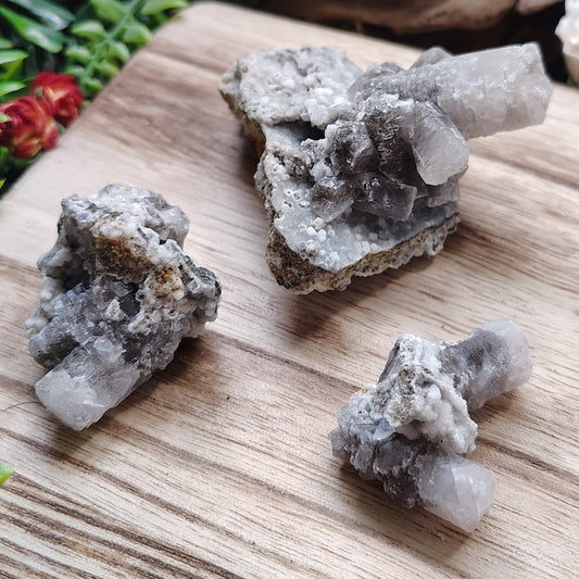 Mineral specimens on a wooden board with plants and flowers in the background