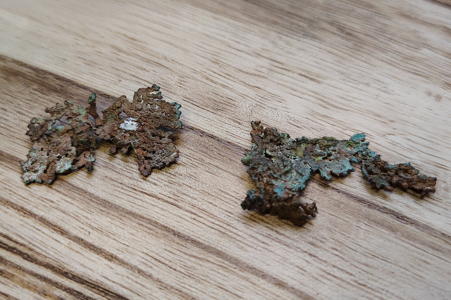 Two pieces of copper on a wooden surface with blurred greenery in the background.