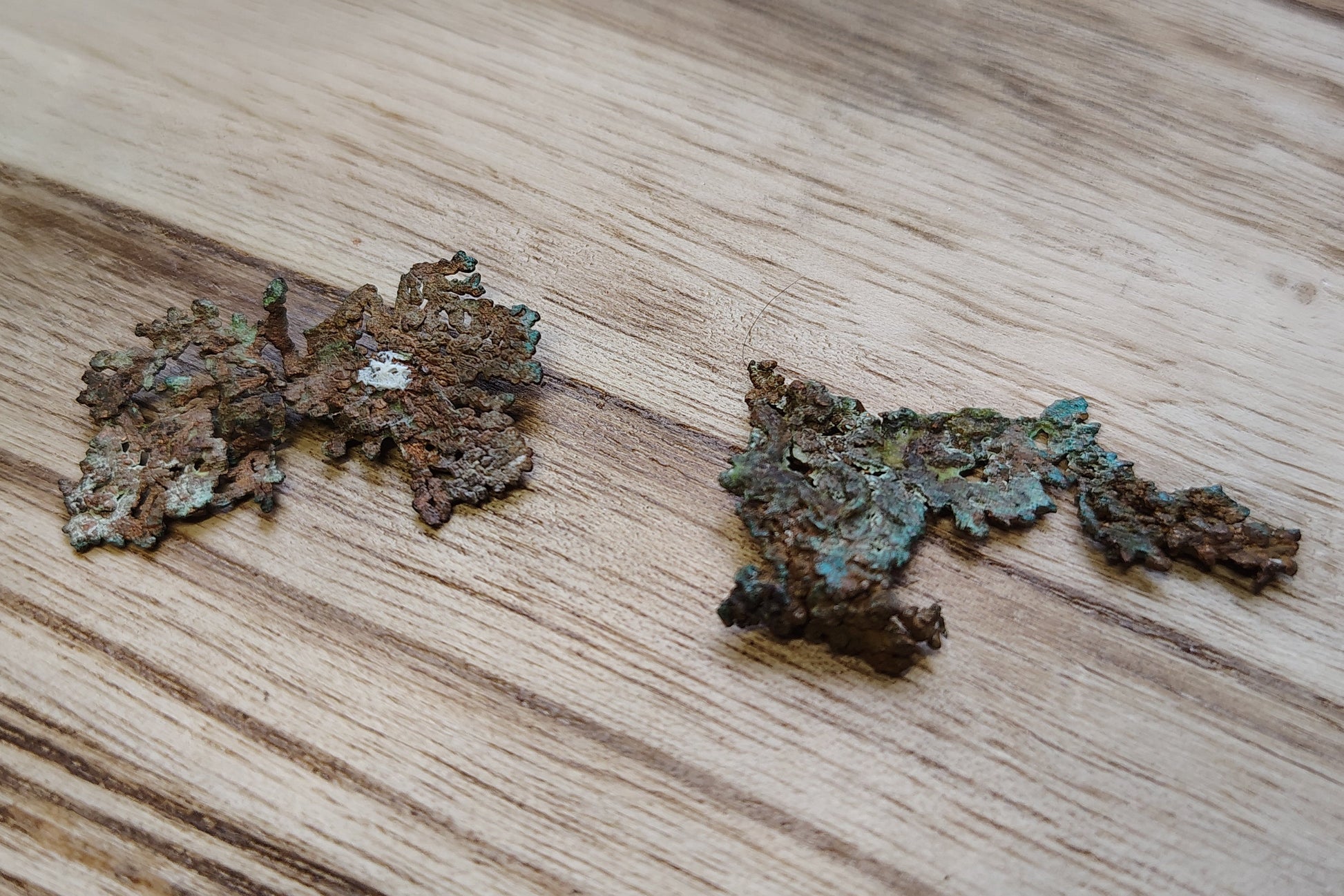 Two pieces of copper on a wooden surface with blurred greenery in the background.