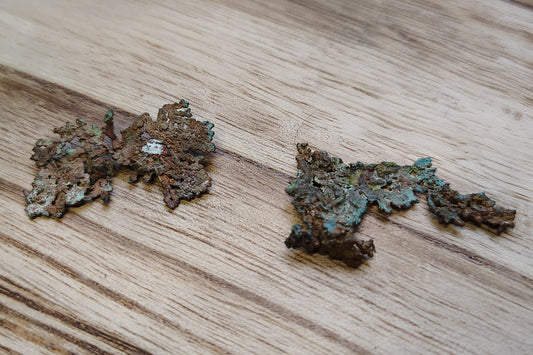 Two pieces of copper on a wooden surface with blurred greenery in the background.