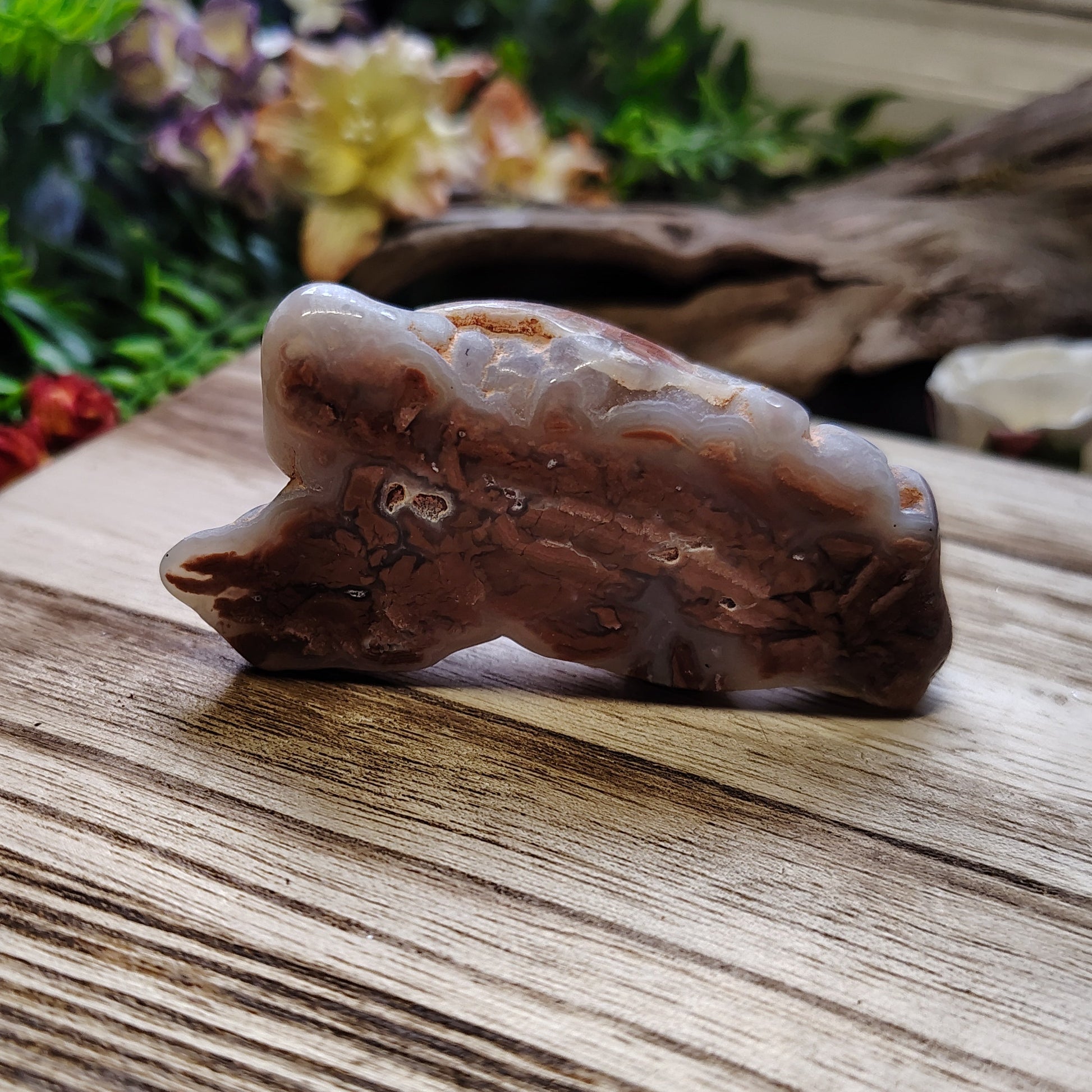 Decorative stone on a wooden surface with greenery in the background