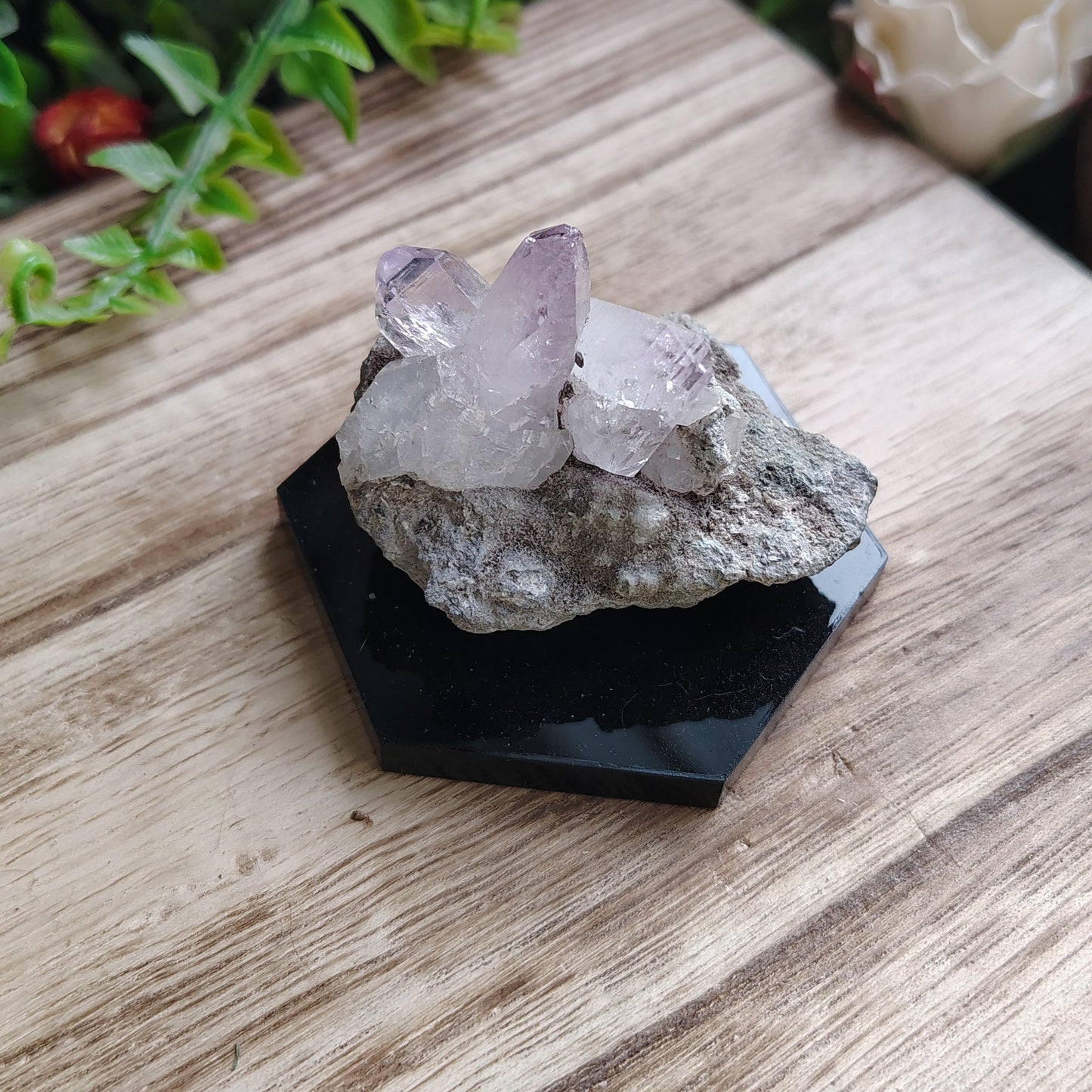 Freegrowing Veracruz Amethyst on Matrix