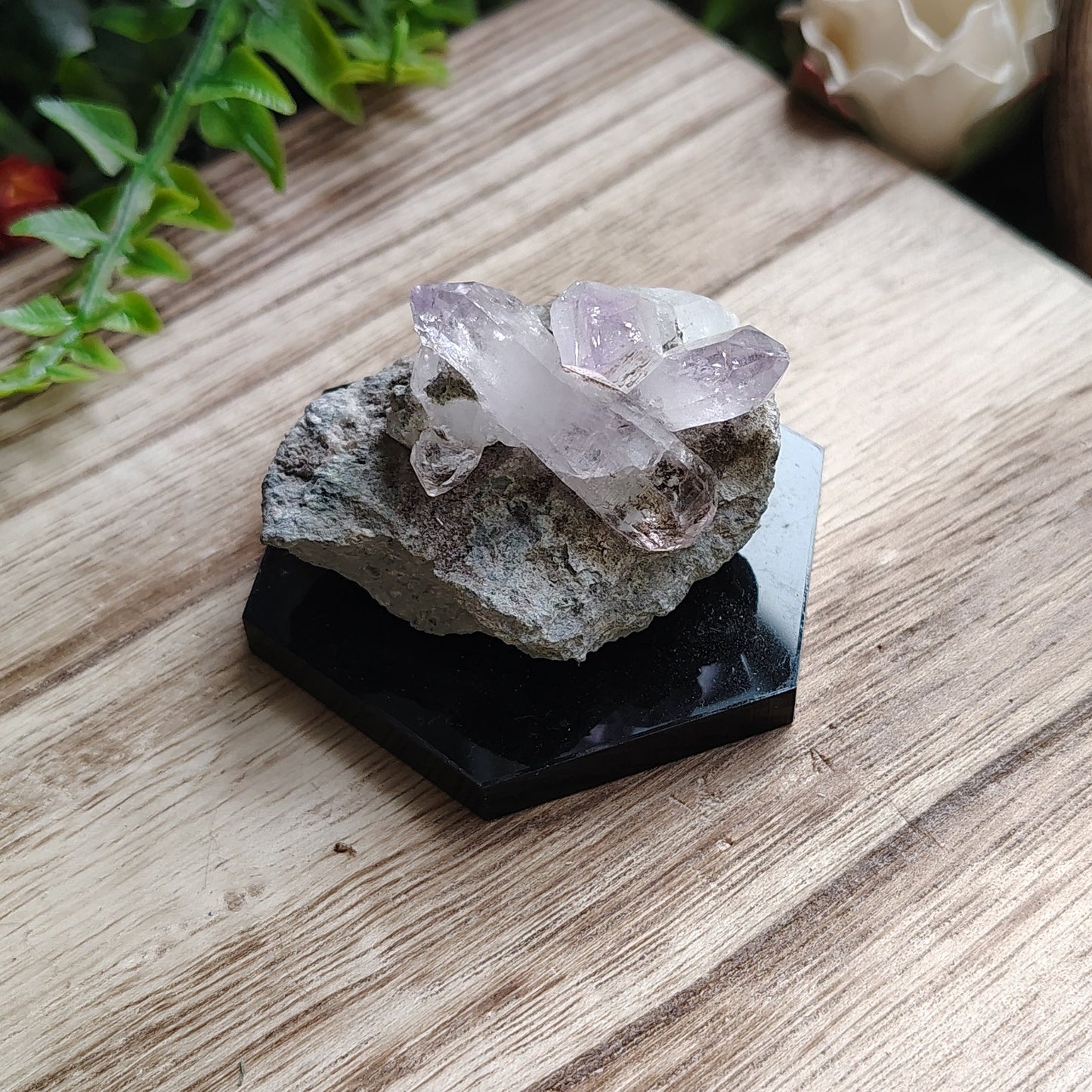 Freegrowing Veracruz Amethyst on Matrix