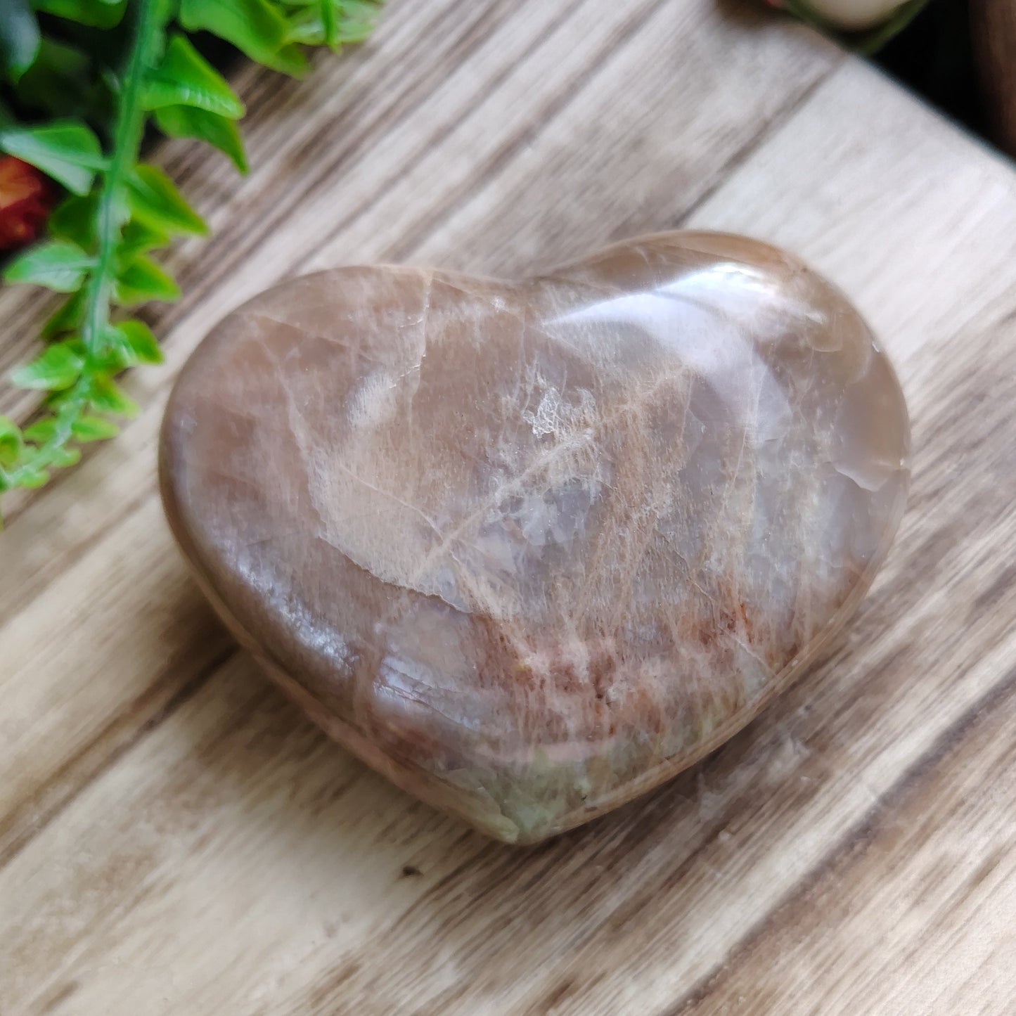 Heart-shaped stone on a wooden surface with greenery around