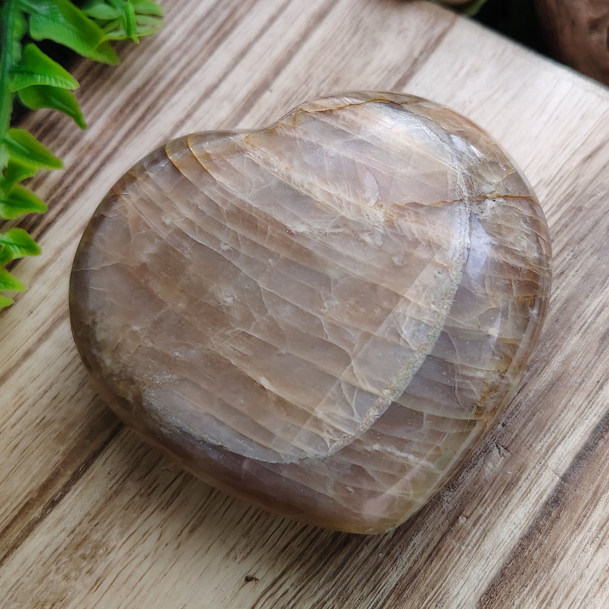 Brown stone on a wooden surface with greenery around