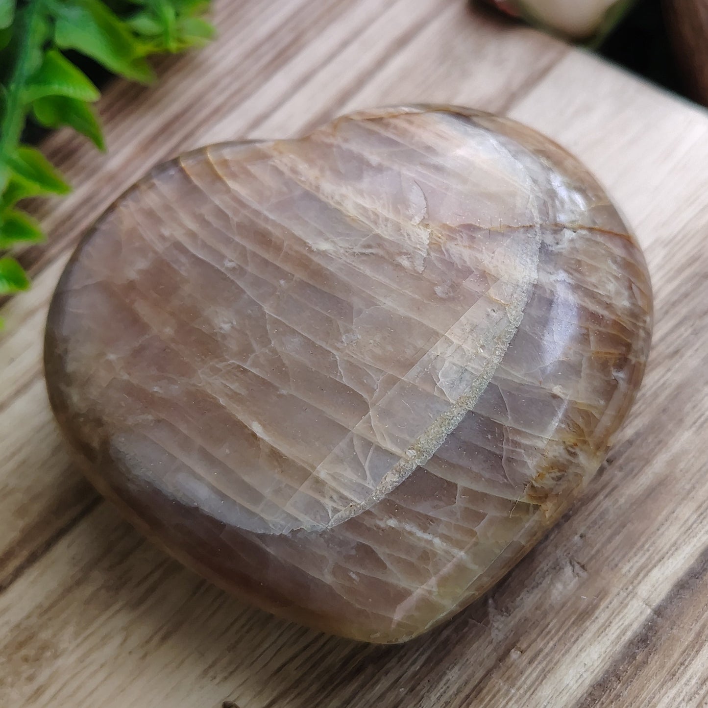 Polished stone on a wooden surface with greenery and flowers in the background