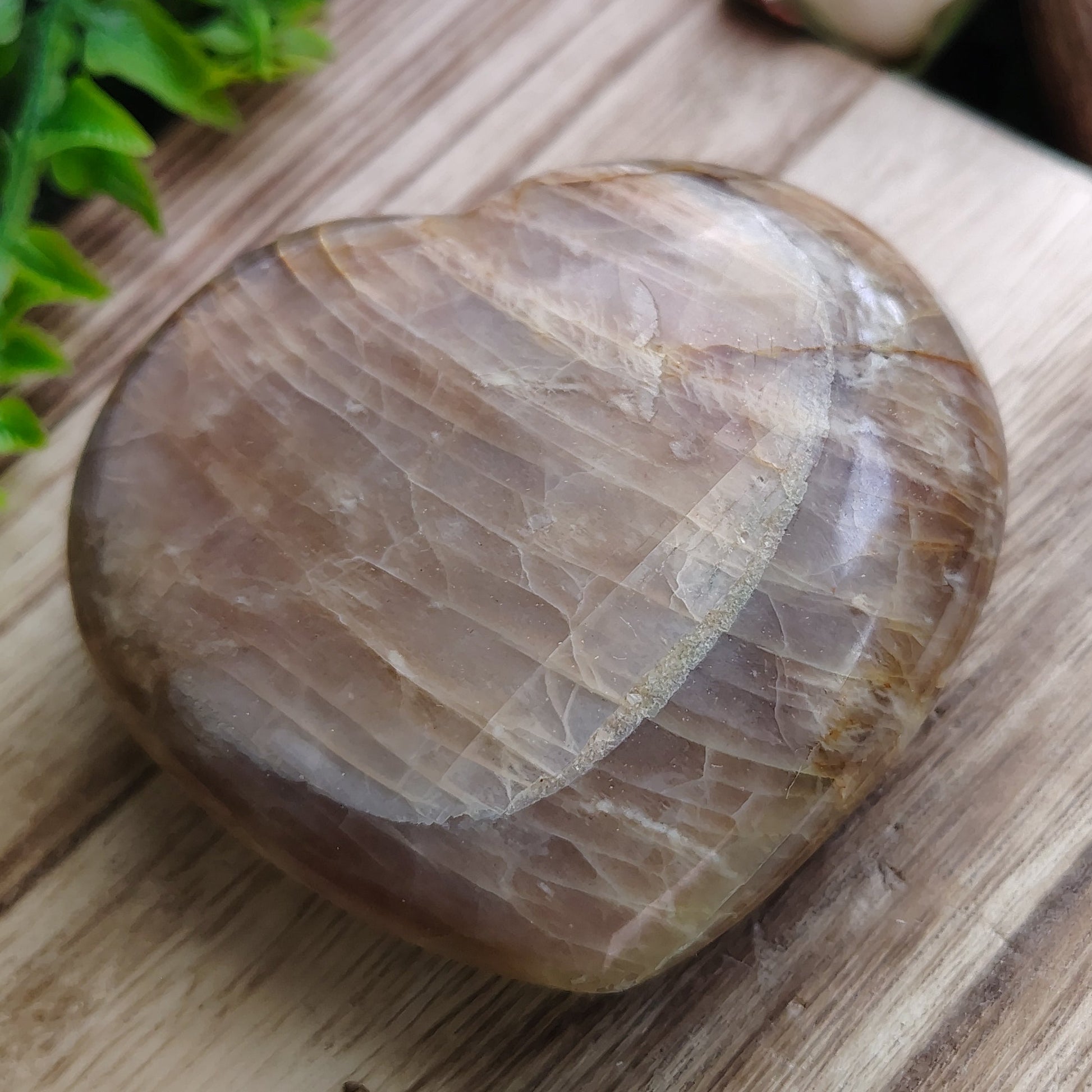 Polished stone on a wooden surface with greenery and flowers in the background