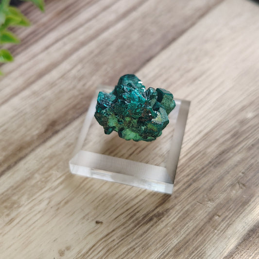 dioptase stone on a clear stand with floral and wooden background