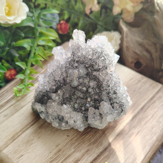 Crystal geode on a wooden block surrounded by greenery