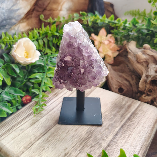 Amethyst crystal on a stand with plants and decorative stones in the background