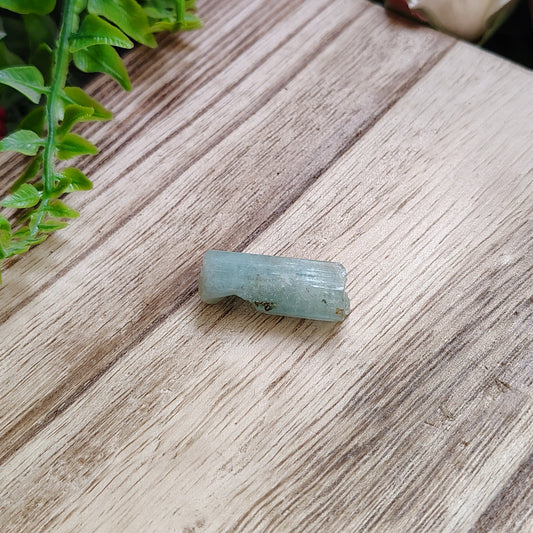Small green stone on a wooden surface surrounded by greenery