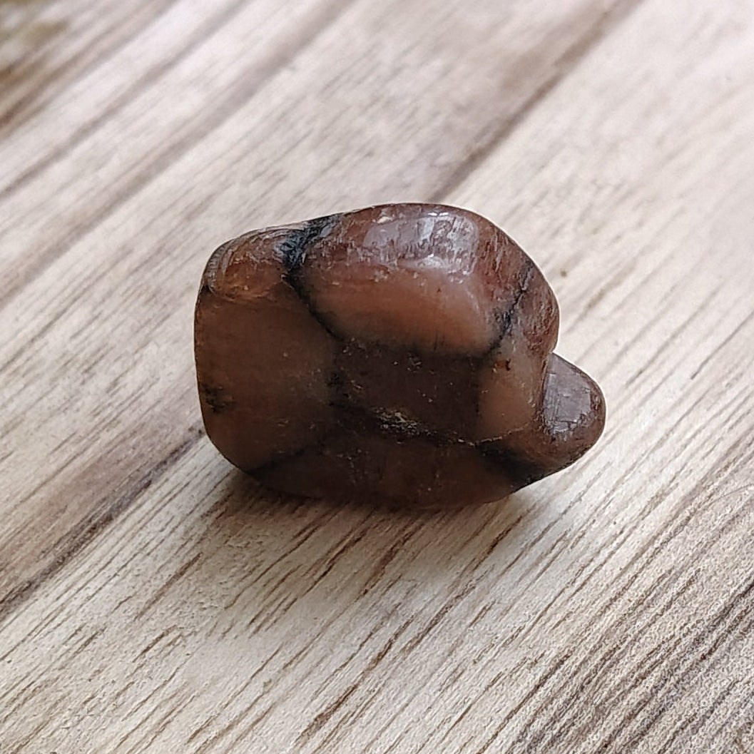 Small brown stone on a wooden surface with greenery around