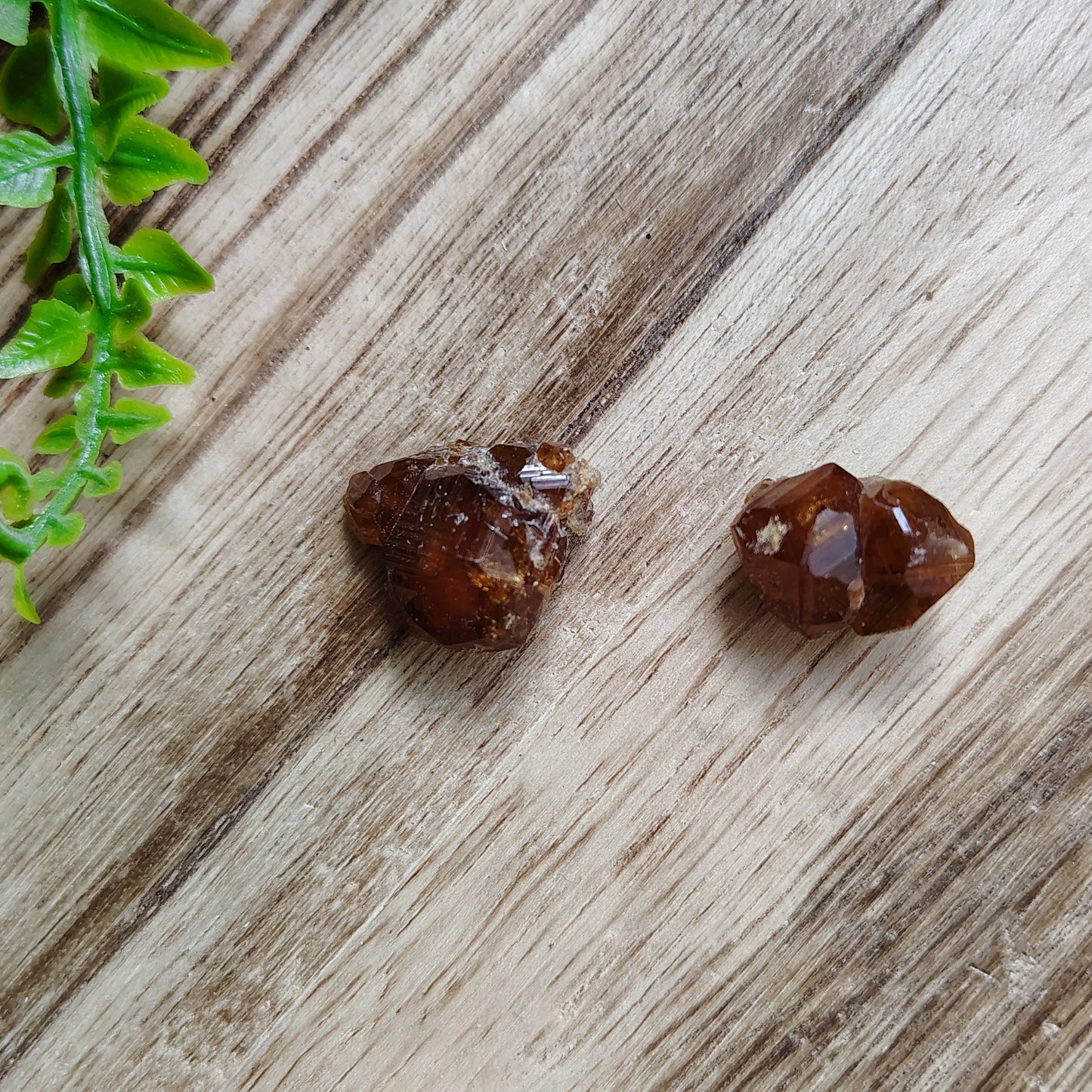 Two orange garnets on a wooden surface with green leaves in the foreground