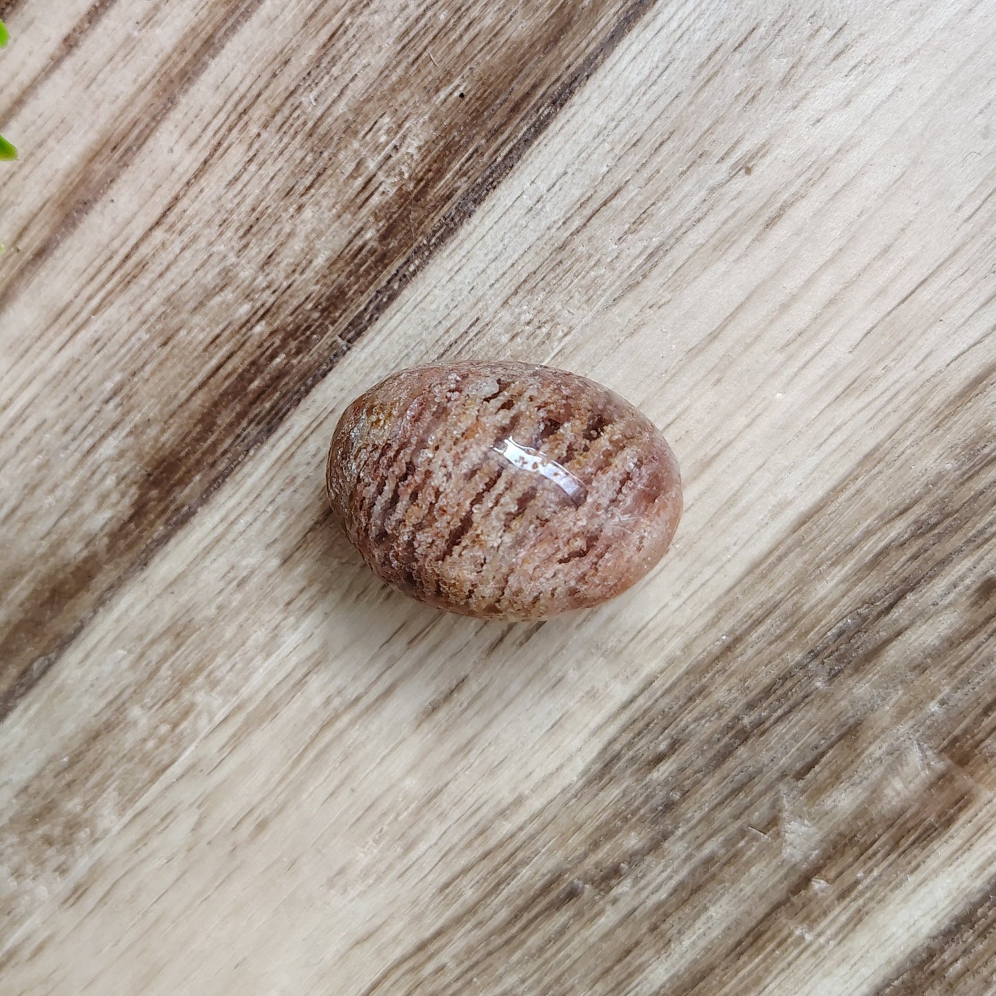 Brown stone on a wooden surface with green leaves