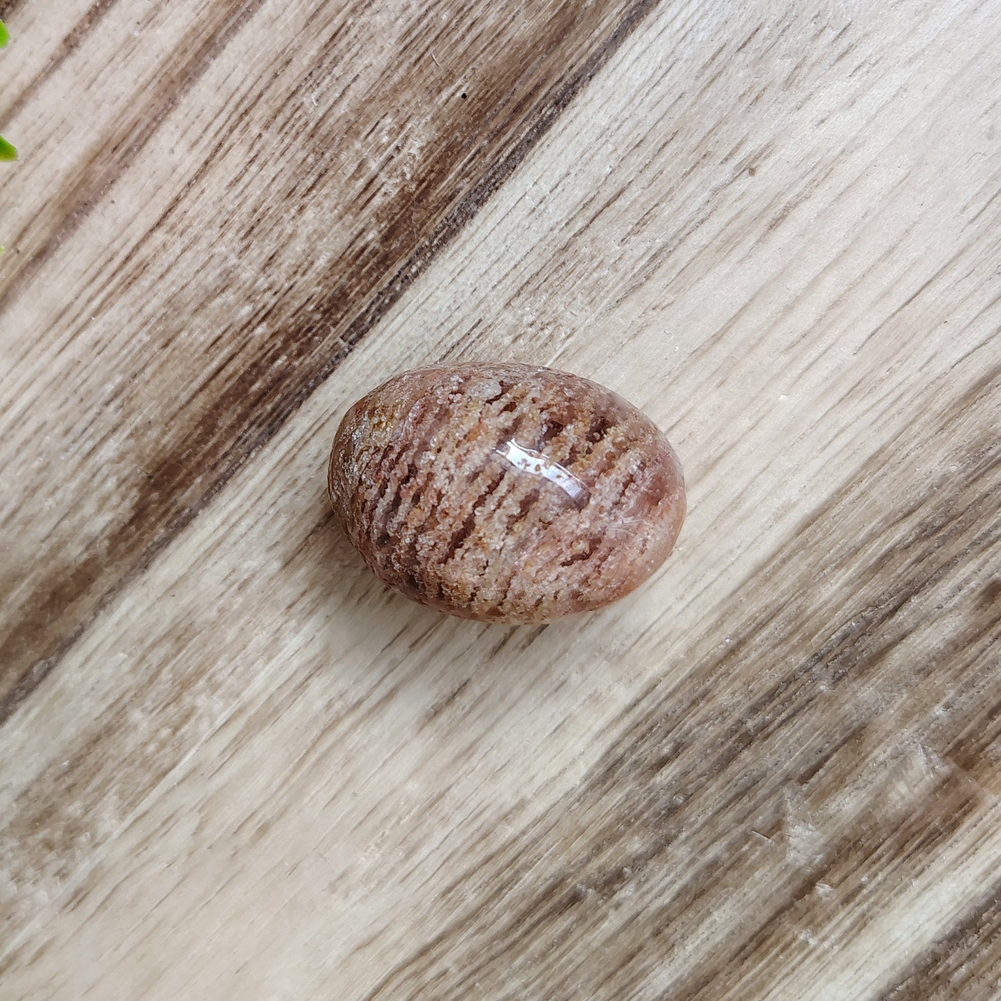 Brown stone on a wooden surface with green leaves