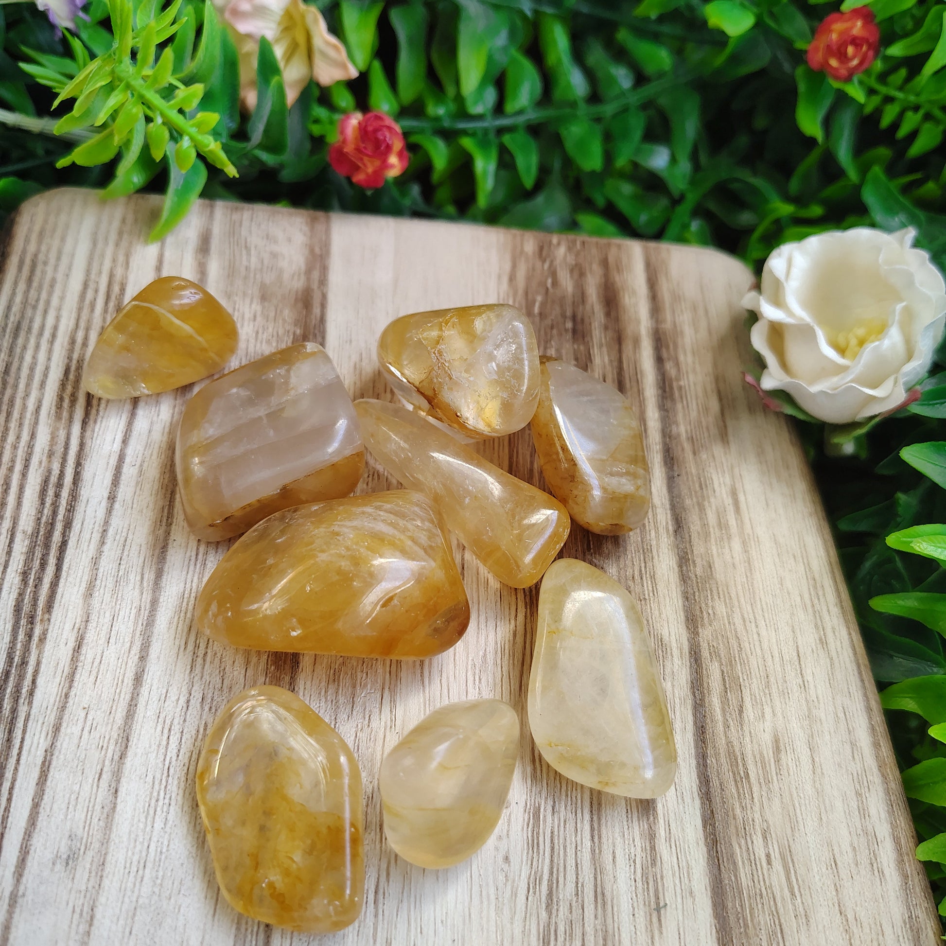 Yellow crystals on a wooden surface with greenery in the background