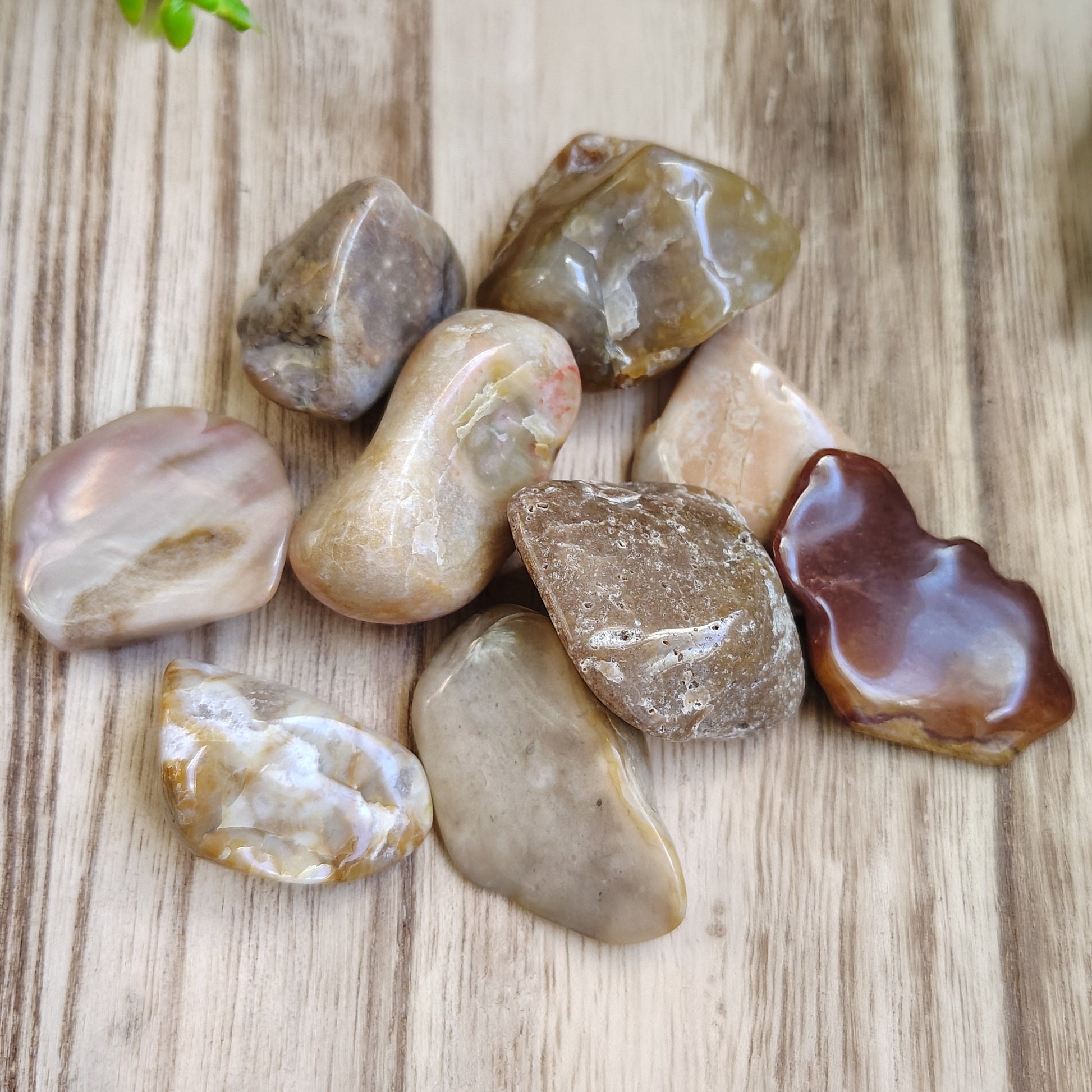 Collection of polished stones on a wooden surface with greenery in the background