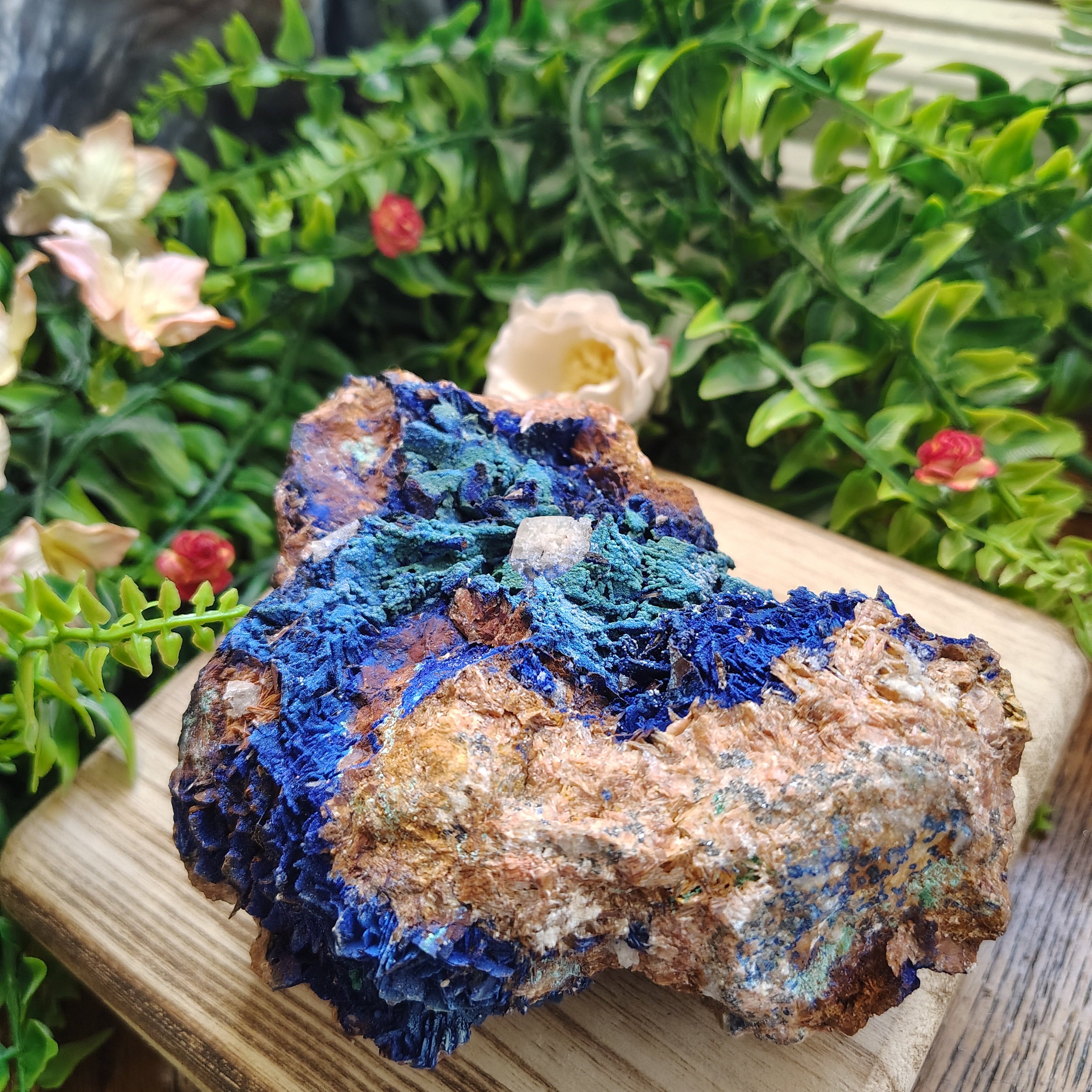Large Azurite on Matrix – Moth & Myth Minerals