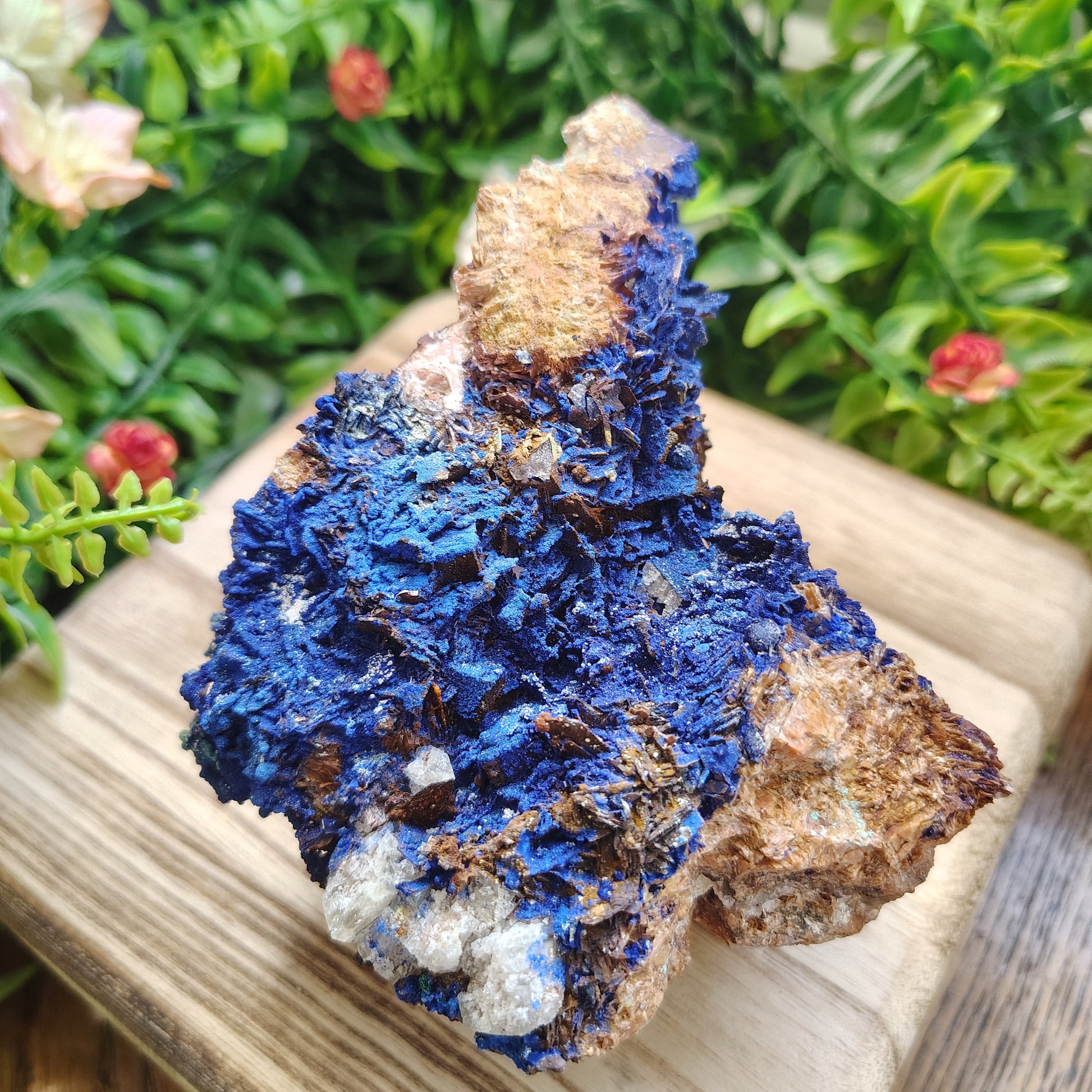 Blue and brown mineral specimen on a wooden surface with green plants in the background