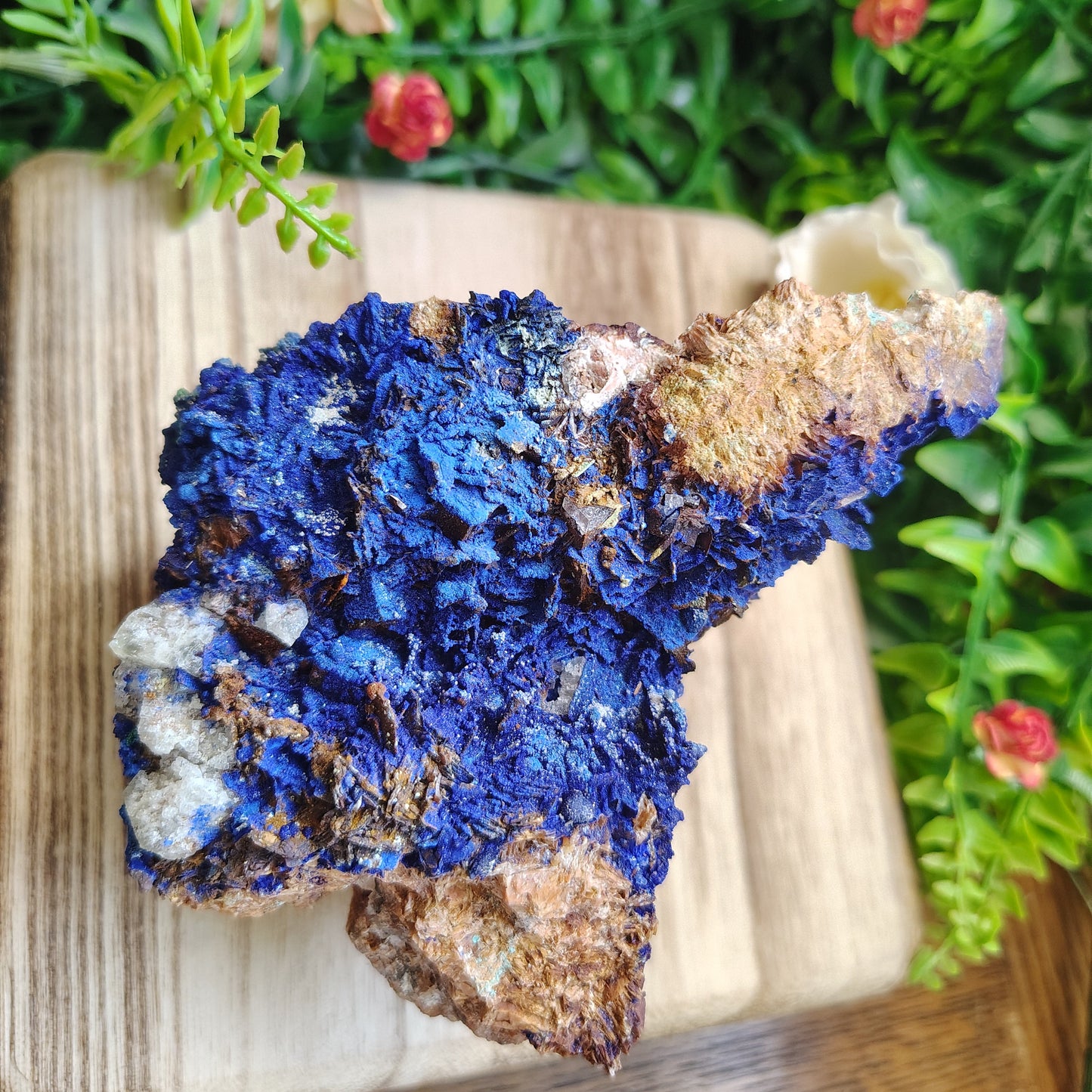Blue mineral specimen on a wooden board with greenery in the background