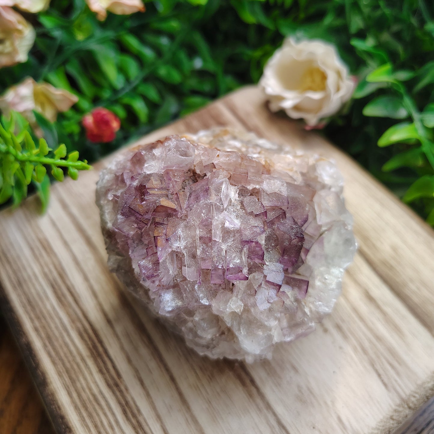 Crystal on a wooden surface with greenery in the background