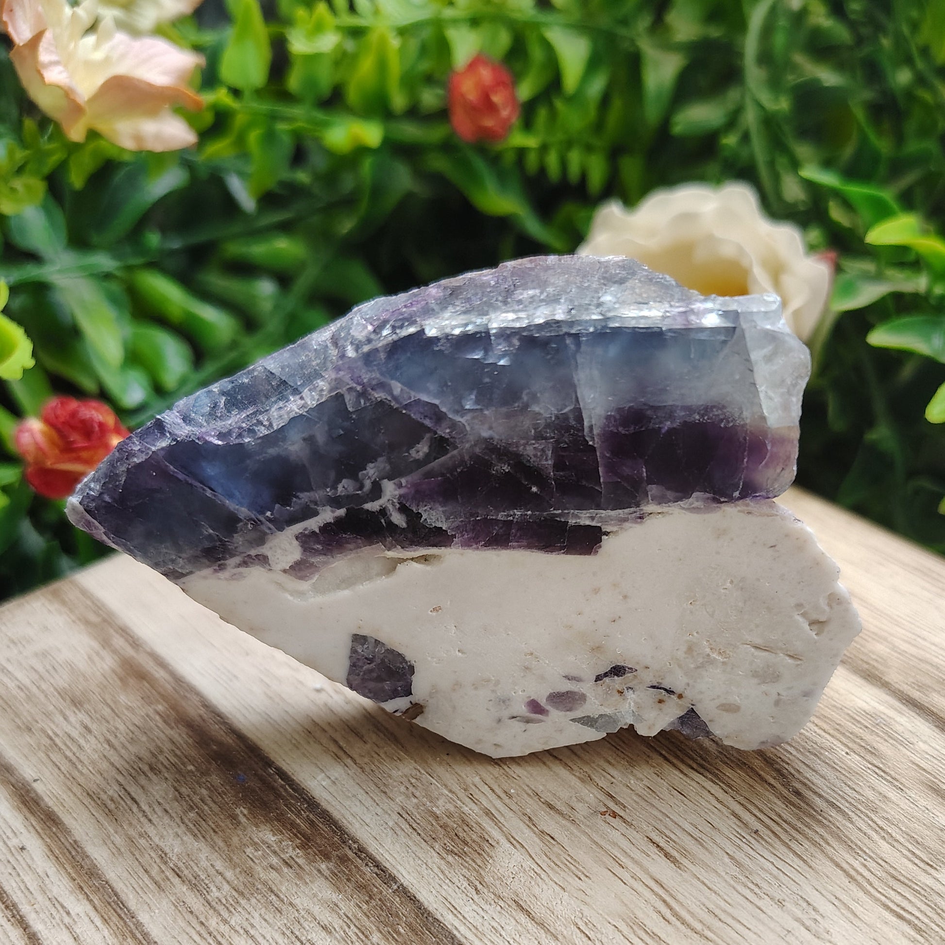 fluorite crystal on a wooden surface with greenery in the background