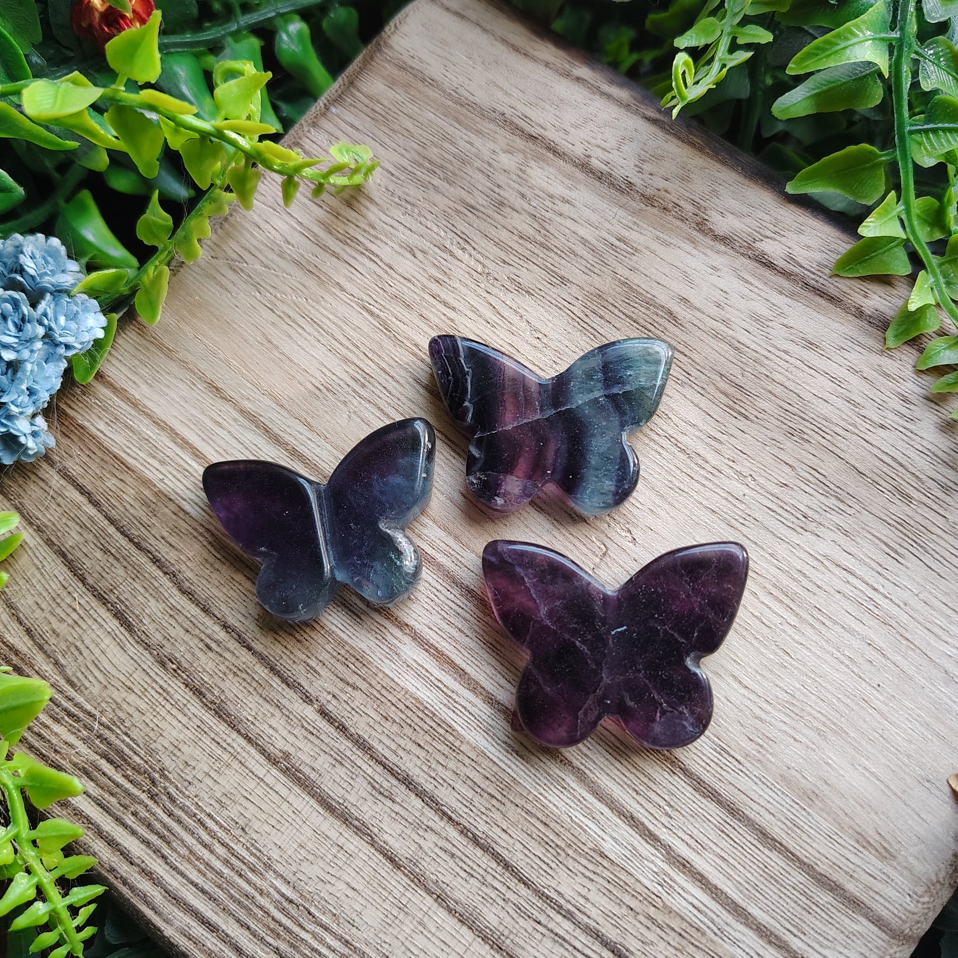 fluorite butterflies