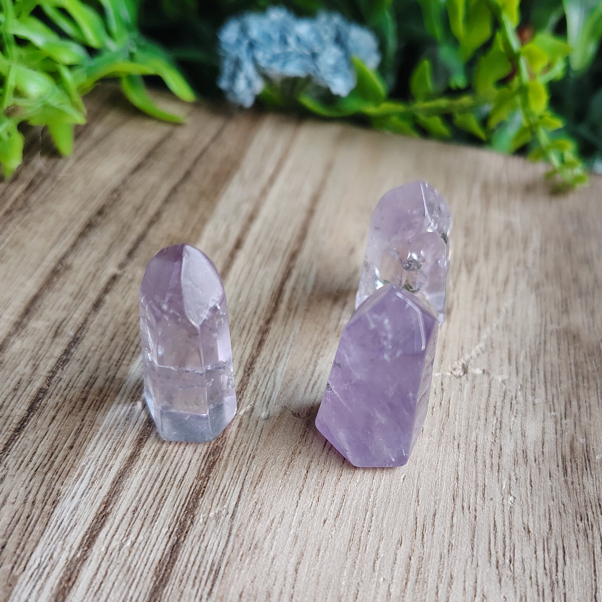 Two purple crystal points on a wooden surface with green foliage in the background