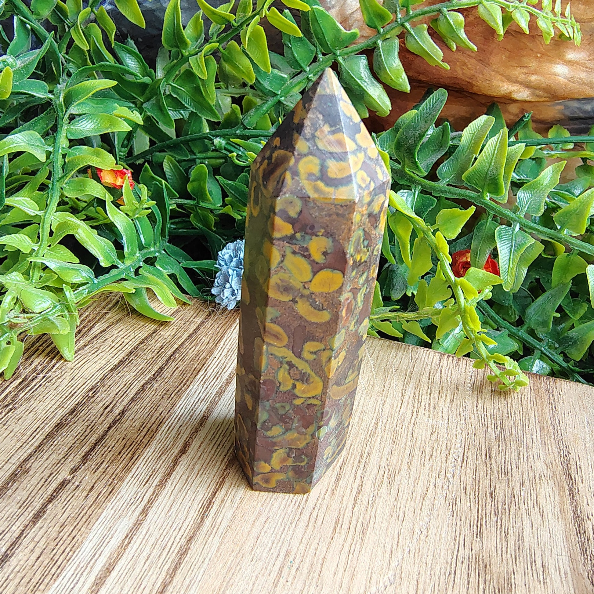 Decorative stone on a wooden surface with greenery