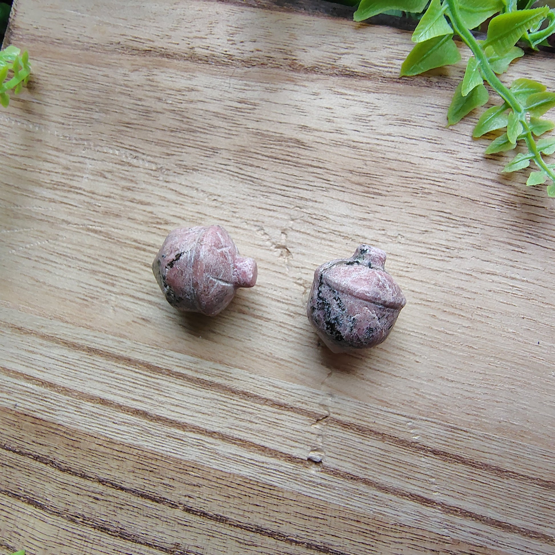 Two acorns on a wooden surface with greenery around