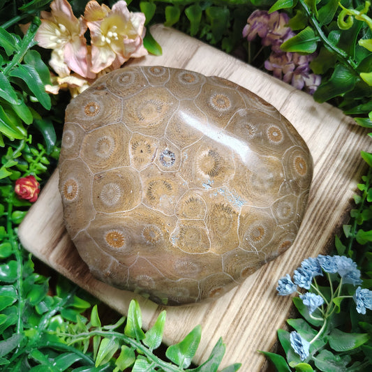 Decorative stone on a wooden stand with greenery around