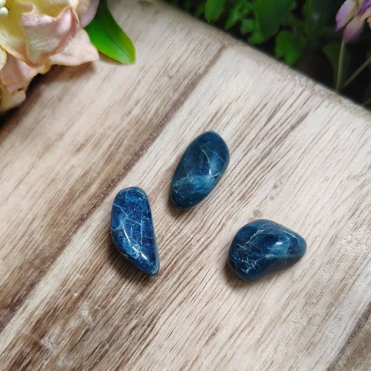 Three blue stones on a wooden surface with flowers in the background