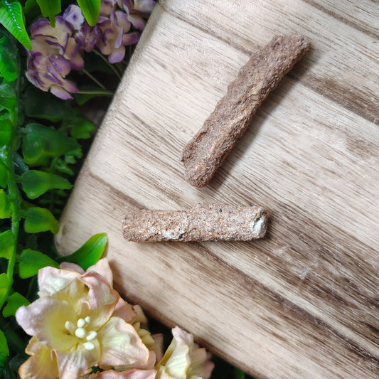Two fulgurite on a wooden surface with green leaves and flowers in the background